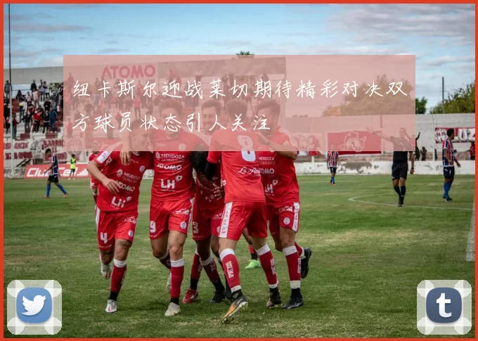 纽卡斯尔迎战莱切期待精彩对决双方球员状态引人关注