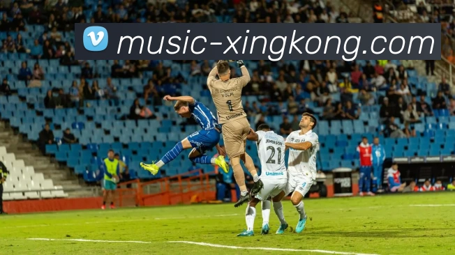 XINGKONG服务体系